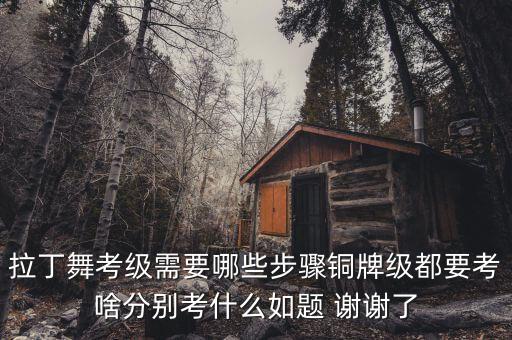 拉丁舞考级需要哪些步骤铜牌级都要考啥分别考什么如题 谢谢了