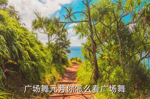 广场舞元芳你怎么看广场舞