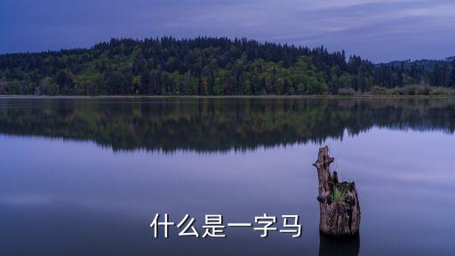一字马，什么是一字马