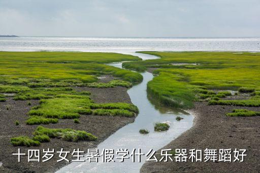 十四岁女生暑假学什么乐器和舞蹈好