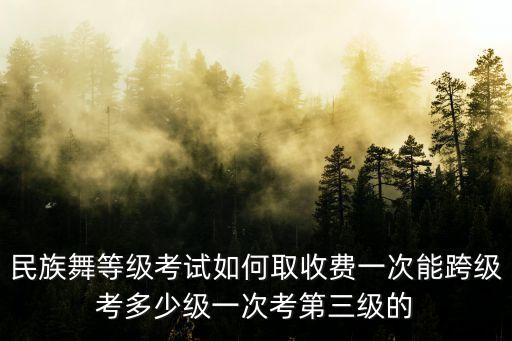 舞蹈考级证书怎么收费标准，拉丁舞考级的费用是多少