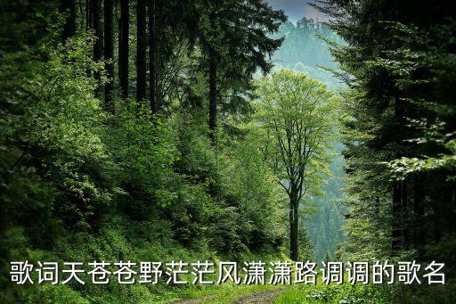 歌词天苍苍野茫茫风潇潇路调调的歌名