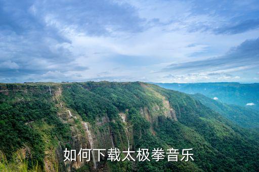 怎么在太极网下载舞曲，如何打开从土豆网下载的太极拳背景音乐