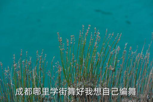 成都哪里学街舞好我想自己编舞