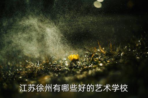 江苏徐州有哪些好的艺术学校