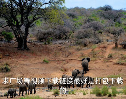 求广场舞视频下载链接最好是打包下载的