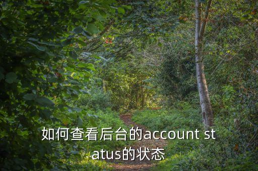 如何查看后台的account status的状态