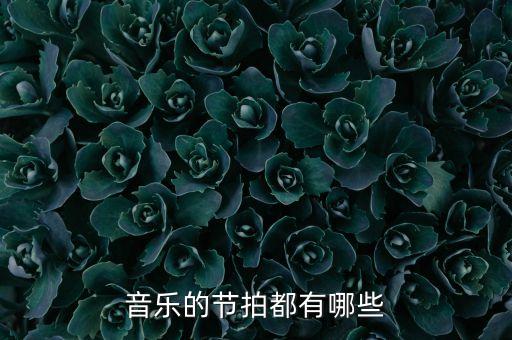舞曲节拍有哪些，音乐的节拍都有哪些