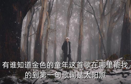 有谁知道金色的童年这首歌在哪里能找的到第一句歌词是太阳照