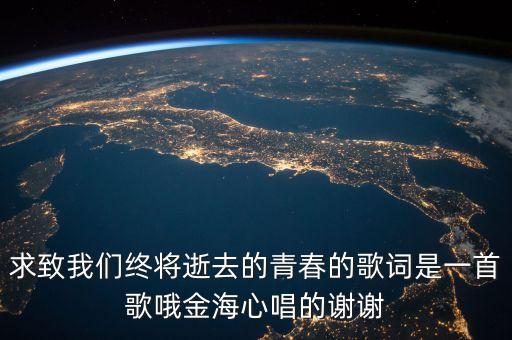 求致我们终将逝去的青春的歌词是一首歌哦金海心唱的谢谢