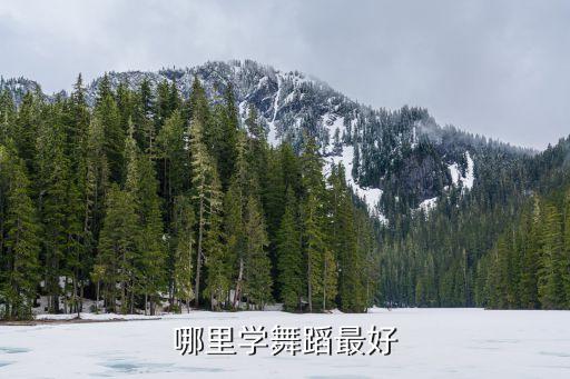 哪里学舞蹈最好