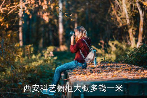 西安科艺橱柜大概多钱一米