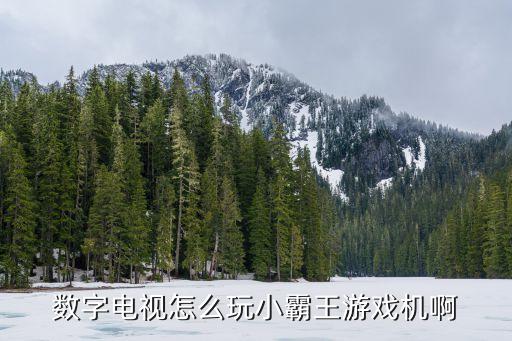 数字电视怎么玩小霸王游戏机啊