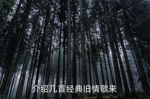 老歌情歌大全100首，好听的老歌关于爱情的推荐几首