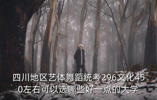 四川地区艺体舞蹈统考296文化450左右可以选哪些好一点的大学
