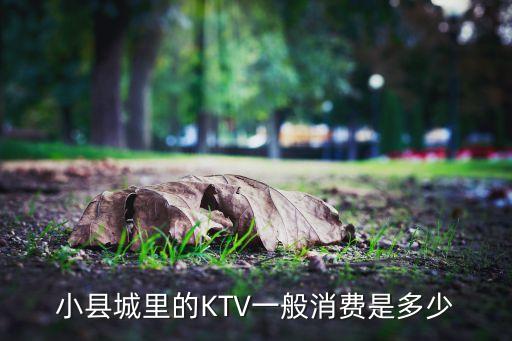 小县城里的KTV一般消费是多少