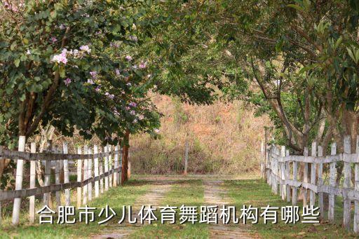 合肥市少儿体育舞蹈机构有哪些