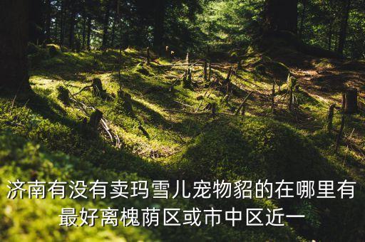 济南哪里有卖雪妹娘的，济南有没有卖玛雪儿宠物貂的在哪里有最好离槐荫区或市中区近一