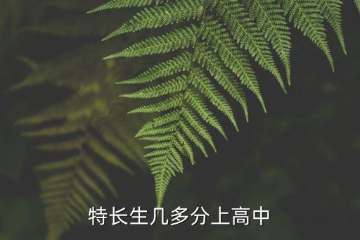特长生几多分上高中