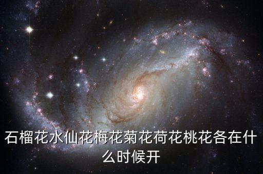 石榴花水仙花梅花菊花荷花桃花各在什么时候开