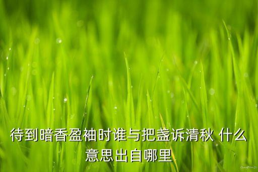 待到暗香盈袖时谁与把盏诉清秋 什么意思出自哪里
