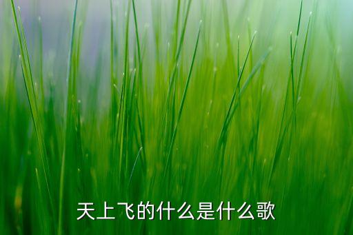 广场舞天上飞的什么歌，天上飞的什么是什么歌