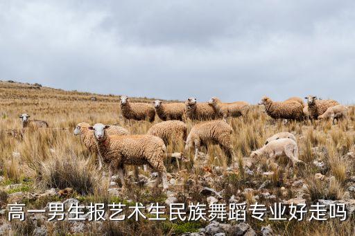艺体生舞蹈好就业吗，现在女生读舞蹈班毕业后好找工作吗