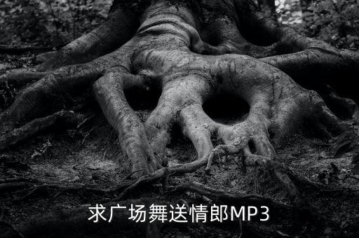 求广场舞送情郎MP3