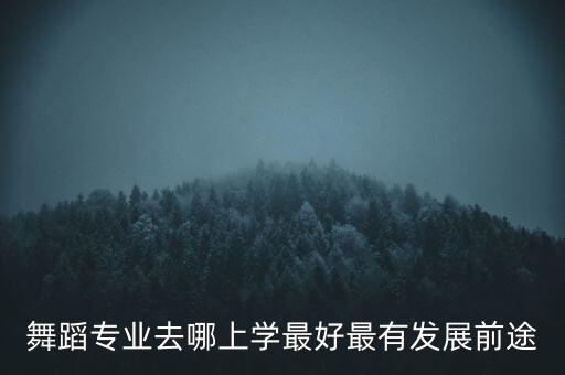 舞蹈教育专业大学排名，舞蹈专业去哪上学最好最有发展前途