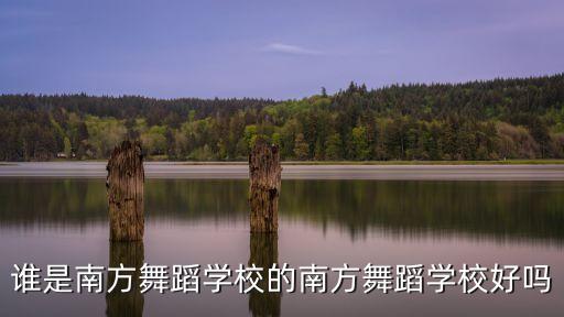 谁是南方舞蹈学校的南方舞蹈学校好吗