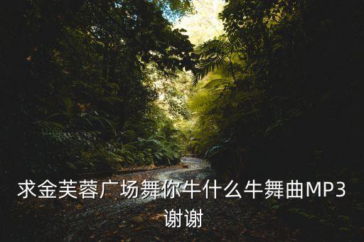求金芙蓉广场舞你牛什么牛舞曲MP3 谢谢