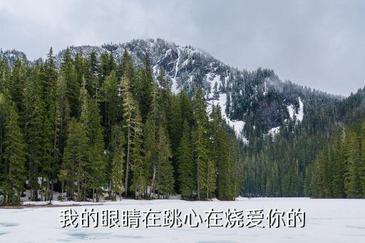 我的眼睛在跳心在烧爱你的