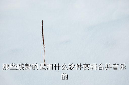 那些跳舞的是用什么软件剪辑合并音乐的
