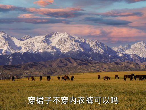 穿裙子不穿内衣裤可以吗