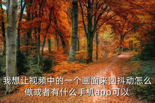 我想让视频中的一个画面来回抖动怎么做或者有什么手机app可以