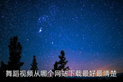 舞蹈视频从哪个网站下载最好最清楚