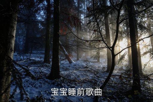 宝宝睡前歌曲