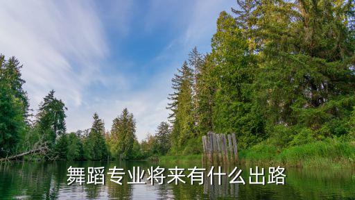 舞蹈类艺术生就业前景，舞蹈专业将来有什么出路