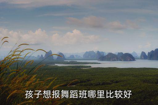 孩子适合什么舞蹈房，想让宝宝学舞蹈请问舞蹈班怎么选谁知道具体情况的