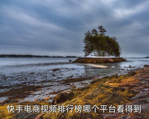 快手电商视频排行榜哪个平台看得到