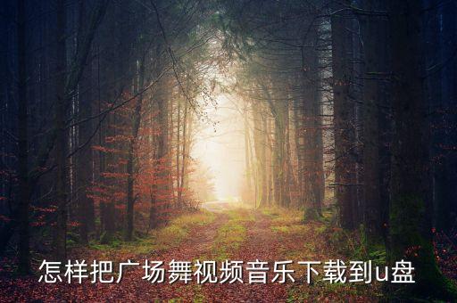 怎样把广场舞视频音乐下载到u盘
