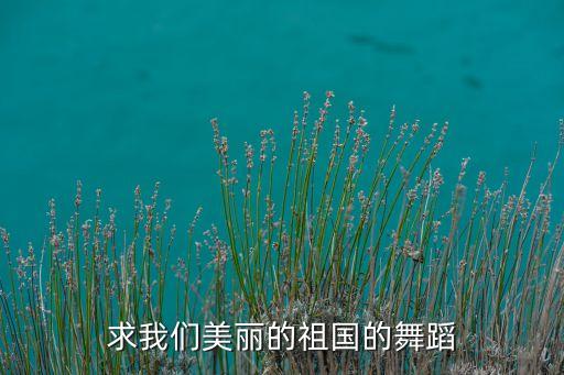 求我们美丽的祖国的舞蹈