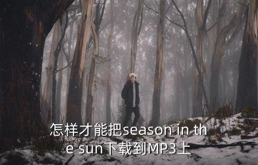 怎样才能把season in the sun下载到MP3上