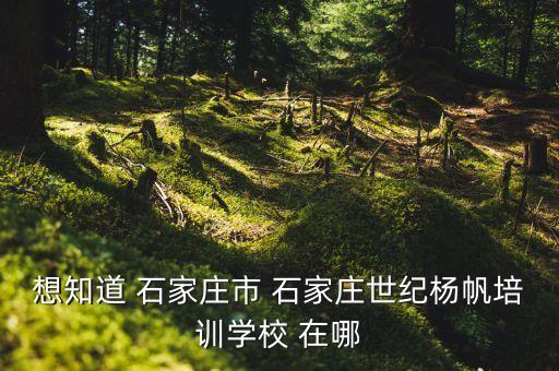 想知道 石家庄市 石家庄世纪杨帆培训学校 在哪