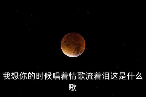 我想你的时候唱着情歌流着泪这是什么歌