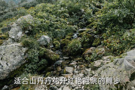 适合山丹丹花开红艳艳跳的舞步