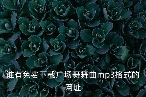 广场舞算什么舞曲下载，哪里哪下载广场舞曲