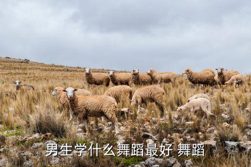 男生一般都学什么舞蹈，男生学什么舞蹈好看