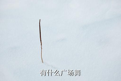 有什么广场舞