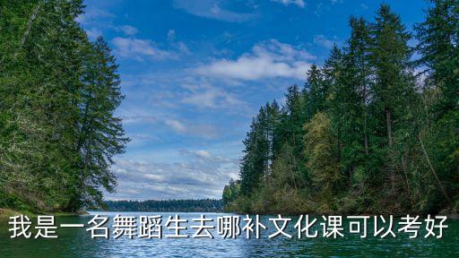我是一名舞蹈生去哪补文化课可以考好